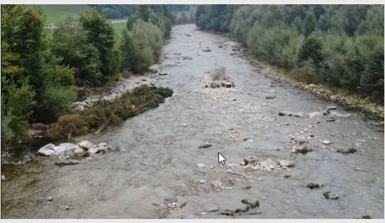 Raubäume in der Kleinen Emme sind für die Fische Rückzugsgebiete.
Quelle: Kanton Luzern
