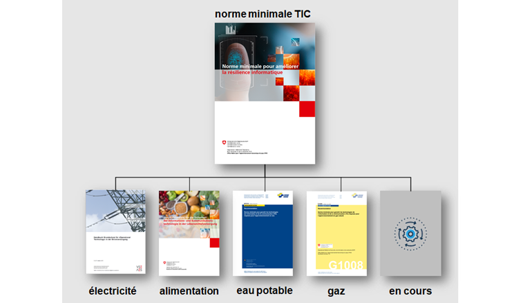 Fig. 1 La norme minimale TIC et les normes minimales TIC spécifiques à un secteur.