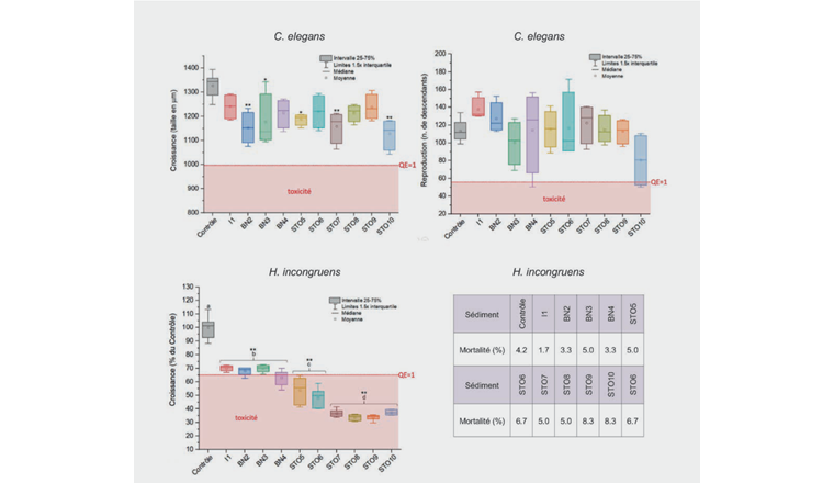 Fig. 2 Résultats des tests écotoxicologiques avec le nématode C. elegans (en haut, croissance et reproduction) et avec l’ostracode H. incongruens (en bas, croissance et mortalité). La ligne rouge indique un quotient d’effet QE = 1, correspondant à 75 et 50% de la croissance et de la reproduction du contrôle pour C. elegans, respectivement (seuils de toxicité de 25 et 50% d’inhibition, respectivement) et à 65% de la croissance du contrôle (seuil de toxicité de 35% d’inhibition) pour H. incongruens. Les * indiquent les échantillons significativement différents du contrôle, et les lettres indiquent les échantillons significativement non différents, selon le test Tukey post ANOVA (**p-value < 0,01, *p-value < 0,05, ANOVA p-value < 0,001). Aucun sédiment n’a induit une mortalité supérieure au seuil de toxicité de 20% chez H. incongruens.