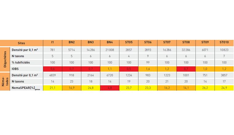 Tab. 5 Résultats de l’étude des communautés d’oligochètes et de nématodes dans les sédiments des canaux des îles (I), du Bras-Neuf (BN) et Stockalper (STO). Le code couleur indique le classement de la qualité écologique des sédiments selon le score de l’indice biologique.