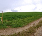 Kurzschlüsse tragen vermutlich erheblich zur Belastung der Gewässer durch Pflanzenschutzmitteln bei. Kurzschlüsse tragen vermutlich erheblich zur Belastung der Gewässer durch Pflanzenschutzmitteln bei.