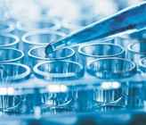 Erste schweizer Screeningstudie zur Erfassung der Toxizität und stofflichen Belastung. (©luchschen/123RF.com) Erste schweizer Screeningstudie zur Erfassung der Toxizität und stofflichen Belastung. (©luchschen/123RF.com)