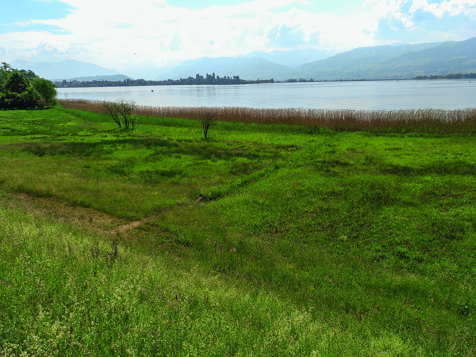 Dezentrale Lösung eines zentralen Problems:  Strassenabwasserbehandlung mit Filtersack. Im Bild: Strassenabwassereinleitung in den Zürichsee.