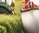 Berner Landwirte halten sich an das neue Chlorothalonil-Verbot. Jedenfalls wurden in keiner von 41 Proben Rückstände dieses Pflanzenschutzmittels gefunden. (© K. Dusan/123RF.com)