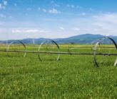 Anpassung der Landwirtschaft an die Trockenheit: herausfordernd, aber machbar. Synthese aus einem Pilotprojekt fürs Mittelland. (©G. Johnston/123RF.com) Anpassung der Landwirtschaft an die Trockenheit: herausfordernd, aber machbar. Synthese aus einem Pilotprojekt fürs Mittelland. (©G. Johnston/123RF.com)