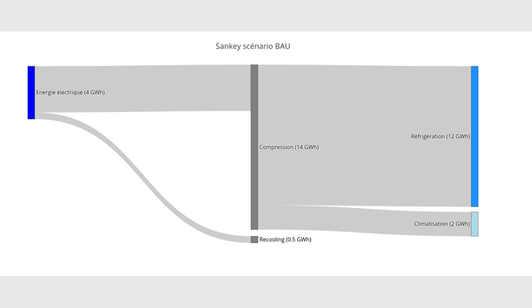 Fig. 10 Diagramme Sankey pour visualiser les flux énergétiques du scénario Business as usual (BAU).