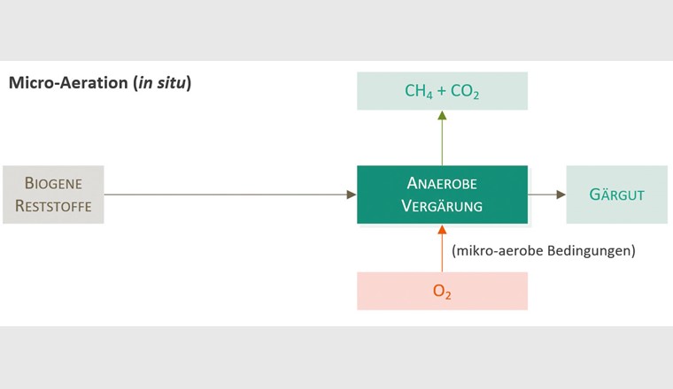 Verfahrensvariante der mikroaeroben Hydrolyse (Micro-Aeration): In-situ-Variante als einstufiger Prozess direkt im Fermenter.