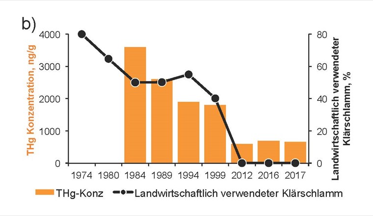 Fig. 1b) Durchschnittliche THg-Konzentration in Klärschlamm der Schweizer ARA und dessen Verwendung als landwirtschaftlicher Dünger (schwarze Linie) [8]. Seit 2006 darf Klärschlamm in der Schweiz nicht mehr als Dünger ausgebracht werden. Die THg-Werte für 2016 und 2017 wurden in der vorliegenden Studie ermittelt. Für die Jahre vor 1984 sind keine gesamtschweizerischen THg-Daten verfügbar.