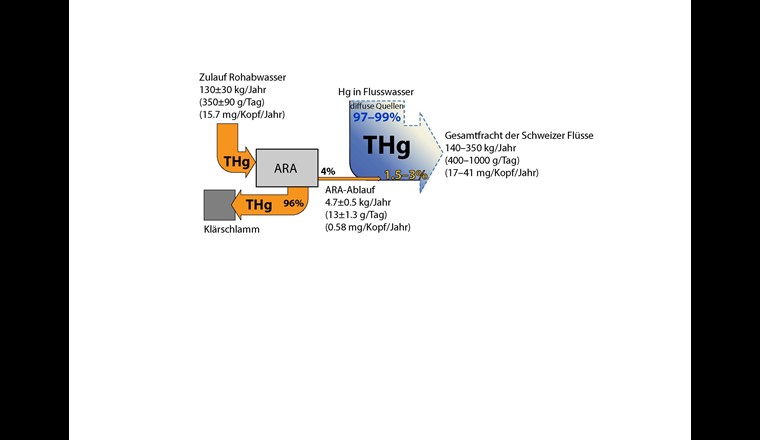 Fig. 5 Ermittelte THg-Frachten der Schweizer ARA und der Oberflächengewässer. Der Beitrag der ARA zur gesamtschweizerischen THg-Fracht der Oberflächengewässer ist mit ca. 1,5–3% relativ gering. Beispiele potenzieller diffuser Quellen sind atmosphärische Deposition, Bodenerosion und Abschwemmung oder historische Quellen wie z. B. Hg in Seesedimenten aus früheren Ablagerungen.