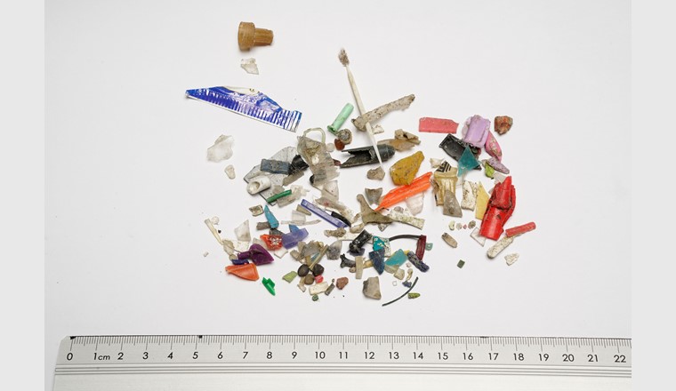 Vom Groben zum Feinen: Sortierung von Makro- und Mikroplastik. (© Breitbarth/FiW)