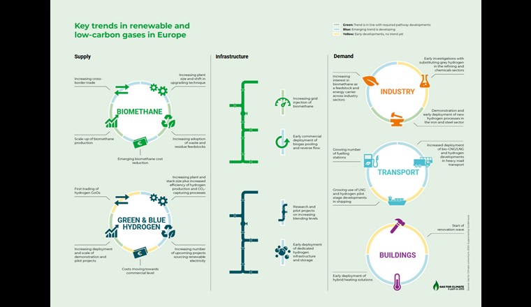 Quelle: «Gas for Climate»/Guidehouse