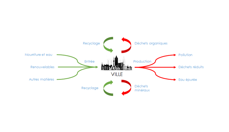Fig. 1 Illustration du concept de métabolisme urbain.
