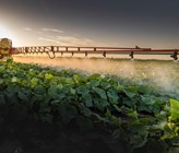 (©K.Dusan/123RF.com) (©K.Dusan/123RF.com)