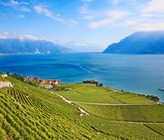 Lavaux/Genfersee (© F. Selivanov/123RF.com) Lavaux/Genfersee (© F. Selivanov/123RF.com)
