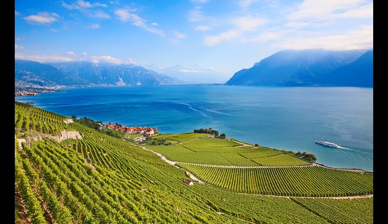 Lavaux/Lago Lemano (© F. Selivanov/123RF.com)