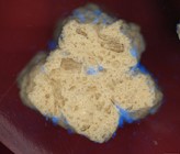 Mikroplastik an einem Filterkorn aus porösem Keramikmaterial (angeschliffen) sichtbar gemacht durch Farbstoff und UV-Anregung im Fluoreszenzmikroskop. (©Gerhardt/GNF) Mikroplastik an einem Filterkorn aus porösem Keramikmaterial (angeschliffen) sichtbar gemacht durch Farbstoff und UV-Anregung im Fluoreszenzmikroskop. (©Gerhardt/GNF)