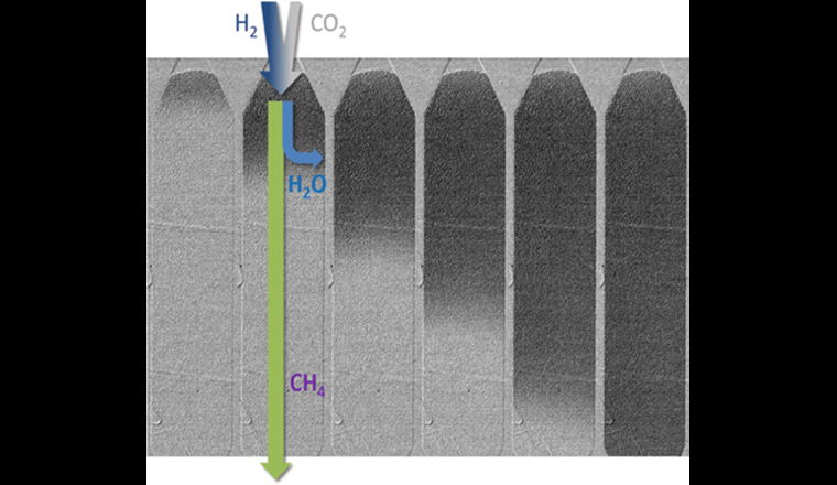 Neutronenradiografiebilder eines Reaktorprototyps (Reaktorlänge 40 cm) mit zunehmender Sättigung des Zeolithmaterials mit Wasser (dunkle Verfärbung) von links nach rechts. (© Empa)