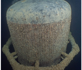 Die Ausbreitung der Quaggamuschel in Schweizer Seen stellt Wasserversorger und Seewasserentnahmen zur Wärme-/Kälteversorgung vor grosse Herausforderungen. Da die Muschel auch in grossen Tiefen vorkommt, müssen die technischen Anlagen, wie Entnahmeleitung mit Saugkorb, gegenüber starkem Muschelbefall geschützt werden. (Foto: Photography Montagner/St. Galler Stadtwerke) Die Ausbreitung der Quaggamuschel in Schweizer Seen stellt Wasserversorger und Seewasserentnahmen zur Wärme-/Kälteversorgung vor grosse Herausforderungen. Da die Muschel auch in grossen Tiefen vorkommt, müssen die technischen Anlagen, wie Entnahmeleitung mit Saugkorb, gegenüber starkem Muschelbefall geschützt werden. (Foto: Photography Montagner/St. Galler Stadtwerke)