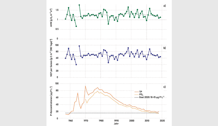 Fig. 4 a) Zeitreihen der AHM (ausgedrückt als Sauerstoffverbrauch pro Tag während der produktiven Saison) seit 1957. Grau: der gleitende Mittelwert über jeweils zehn Jahre. Durch die Grösse des Genfersees haben vertikale Oszillationen der Wasserschichten eine starke Auswirkung auf die saisonale O2-Bilanz, was zu methodischen Fehlern und deshalb zu grossen jährlichen Unterschieden in der berechneten AHM führt.
b) NEP (in g C m–2 [180 Tage]–1) abgeschätzt aus AHM plus NS für jede produktive Saison. Grau: der gleitende Mittelwert über jeweils zehn Jahre.
c) Mittlere P-Konzentrationen (TP und PO4) im ganzen See und Zielwert 2020 [15, 17].