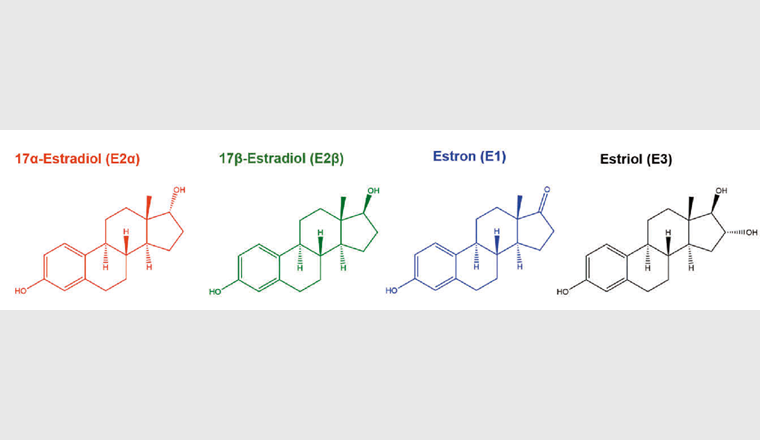 Strukturformeln der untersuchten natürlichen Estrogene: 17α-Estradiol (E2α; rot), 17β-Estradiol (E2β; grün), Estron (E1; blau) und Estriol (E3; schwarz).