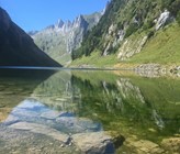 Im Sommer sind die Flachwasserbereiche im See überzogen mit Algenteppichen, die als Folge des hohen Nährstoffgehaltes stark im See wachsen. (Bild: Kanton Appenzell Innerrhoden) Im Sommer sind die Flachwasserbereiche im See überzogen mit Algenteppichen, die als Folge des hohen Nährstoffgehaltes stark im See wachsen. (Bild: Kanton Appenzell Innerrhoden)