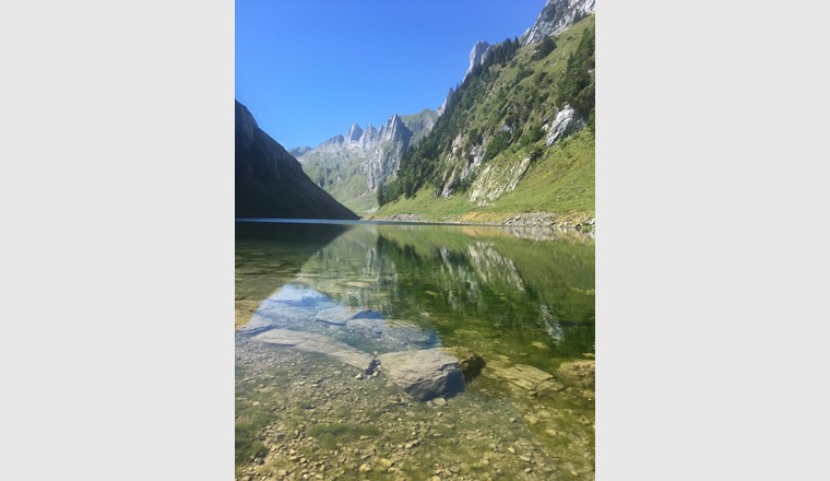 Im Sommer sind die Flachwasserbereiche im See überzogen mit Algenteppichen, die als Folge des hohen Nährstoffgehaltes stark im See wachsen. (Bild: Kanton Appenzell Innerrhoden)