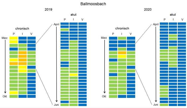 Fig. 5a Jeweils links: Chronische Belastungssituation (CRQmix) im Ballmoosbach im 2019 und 2020 wie in Fig. 4a. Jeweils rechts: Akute Belastungssituation (ARQmix) im Ballmoosbach im 2019 und 2020 im Zeitraum von Anfang April bis Ende Juni basierend auf 3,5-Tages-Sammelproben. Die Farbe der Kacheln repräsentiert gemäss erweitertem Ampelsystem (Fig. 3) das Risiko für die Gewässerorganismen; bei blau und grün werden die Qualitätskriterien eingehalten.