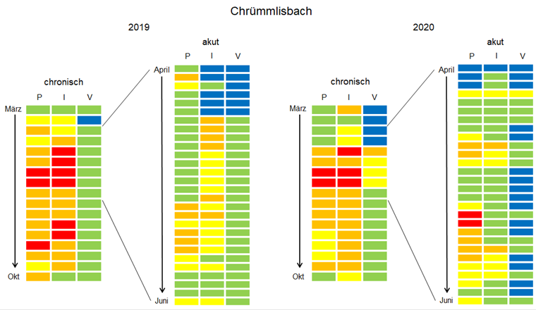 Fig. 5b Jeweils links: Chronische Belastungssituation (CRQmix) im Chrümmlisbach im 2019 und 2020 wie in Fig. 4b. Jeweils rechts: Akute Belastungssituation (ARQmix) im Chrümmlisbach im 2019 und 2020 im Zeitraum von Anfang April bis Ende Juni basierend auf 3,5-Tages-Sammelproben. Die Farbe der Kacheln repräsentiert gemäss erweitertem Ampelsystem (Fig. 3) das Risiko für die Gewässerorganismen; bei blau und grün werden die Qualitätskriterien eingehalten.