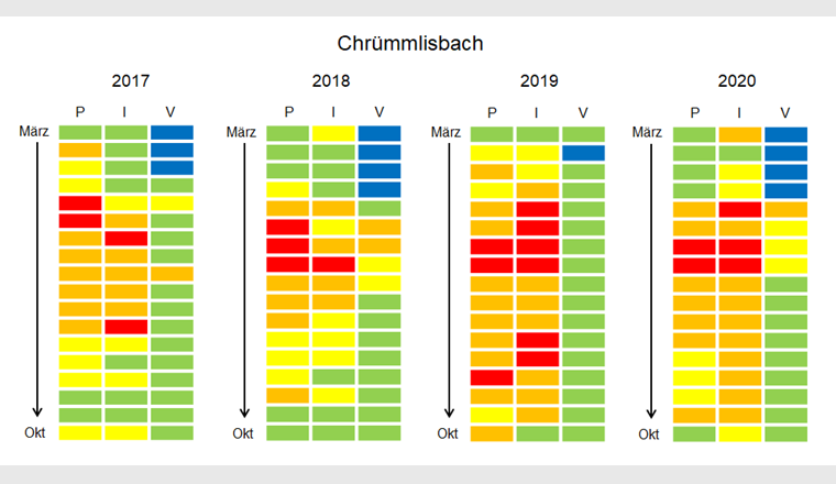 Fig. 4b Chronische Belastungssituation (CRQmix) im Chrümmlisbach für 2017 bis 2020. Eine Kachel entsprich einer 2-Wochen-Sammelprobe, in den Spalten sind die Organismengruppen Pflanzen (P), Wirbellose (I) und Fische (V) abgebildet. Die Farbe der Kacheln repräsentiert gemäss erweitertem Ampelsystem (Fig. 3) das Risiko für die Gewässerorganismen; bei blau und grün werden die Qualitätskriterien eingehalten.
