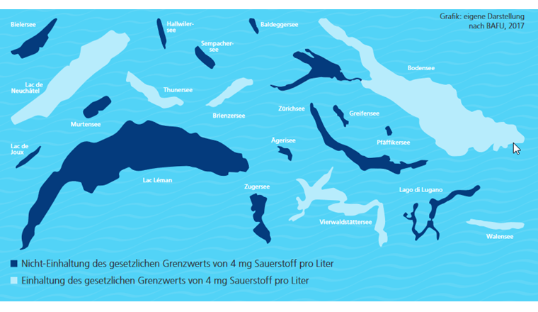 Erstickende Seen. Zahlreiche Seen in der Schweiz leiden unter Nährstoffeinträgen aus der Landwirtschaft. Damit der Baldegger-, Hall-wiler-, Sampacher- und Greifensee nicht in einem Algenmeer ersticken, müssen sie sogar künstlich belüftet werden. (c) aqua viva