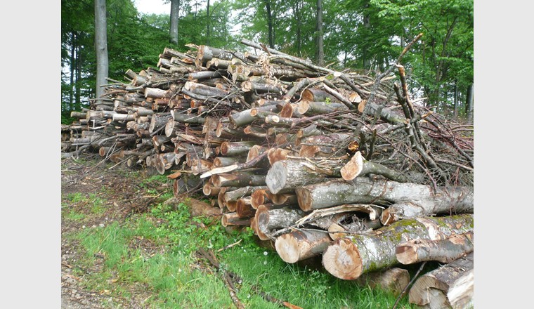 Fig. 6 Bois rond énergétique stocké le long d’une route forestière. (Photo: Energie-bois Suisse)