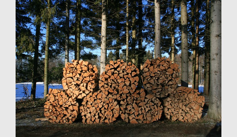 Fig. 5 Une pile de rondins de bois. (Photo: Energie-bois Suisse)