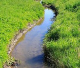 Was lebt da noch im kleinen Gewässer? 
Bild: 123rf.com Was lebt da noch im kleinen Gewässer? 
Bild: 123rf.com