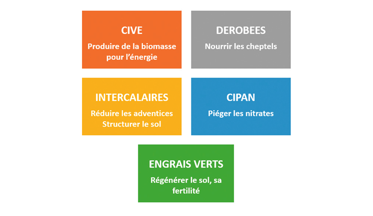 Fig. 4 Les 5 principales familles de CIMSE. (Source: [9])