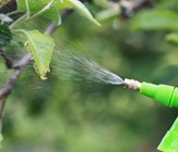 Insbesondere begrüsst der VSA die Regelung, dass Produkte, die giftig oder sehr giftig für Wasserorganismen sind, von der nichtberuflichen Verwendung gänzlich ausgeschlossen werden.
Bild: 123rf.com Insbesondere begrüsst der VSA die Regelung, dass Produkte, die giftig oder sehr giftig für Wasserorganismen sind, von der nichtberuflichen Verwendung gänzlich ausgeschlossen werden.
Bild: 123rf.com