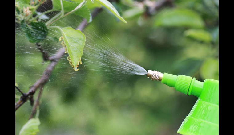 Insbesondere begrüsst der VSA die Regelung, dass Produkte, die giftig oder sehr giftig für Wasserorganismen sind, von der nichtberuflichen Verwendung gänzlich ausgeschlossen werden.
Bild: 123rf.com