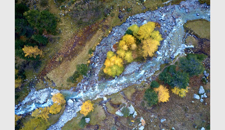 Als erste Gemeinde der Schweiz erhält Bever im Oberengadin das Label «Gewässerperle PLUS» zugesprochen. (Bild: WWF Graubünden/Fabian Fopp)