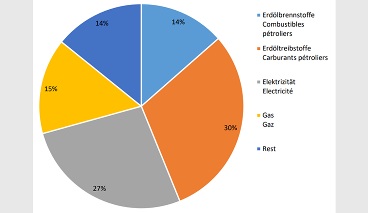 Überblick über den Endenergieverbrauch in der Schweiz im Jahr 2020 (Total: 747'400 TJ) Quelle: Bundesamt für Energie (BFE)