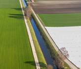 Effekte von PSM-Mischungen, in Kombination mit anderen Umweltstressoren, auf junge Forellen. (© M. Zeh) Effekte von PSM-Mischungen, in Kombination mit anderen Umweltstressoren, auf junge Forellen. (© M. Zeh)
