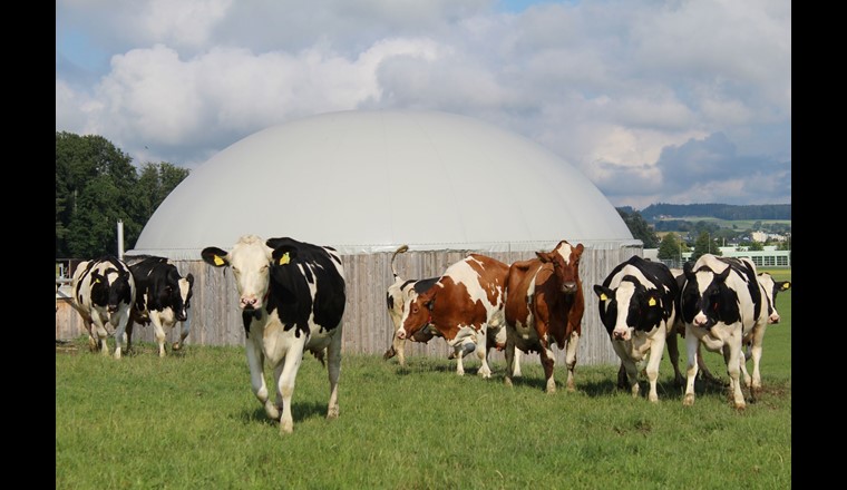 Gillianne Bowman a présenté une étude du WSL et d’Ökostrom Schweiz lors de la conférence sur la recherche en bioénergie. Cette étude porte sur les flux de nutriments dans les installations de biogaz et sur la valeur ajoutée des produits de fermentation. Photo: Ökostrom Schweiz