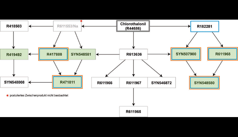 Fig. 1 Biochemische Abbauwege für CT im Boden basierend auf [11]. Die grün hinterlegten Metaboliten wurden in anderen Studien im Grundwasser nachgewiesen [1, 2], die blau umrandeten Metaboliten wurden in dieser Studie in den Wasserproben analysiert, die orange umrandeten Metaboliten in den Proben des Bodens und des ungesättigten Untergrunds.