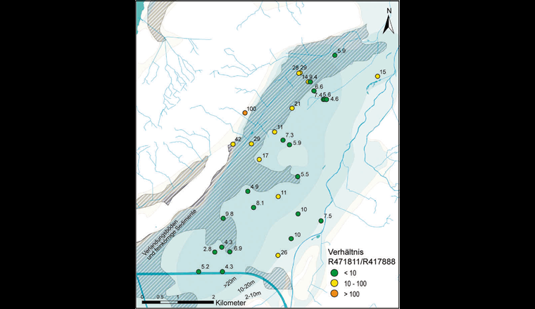 Fig. 7 Verhältnis zwischen den Metaboliten R471811 und R417888 im Grundwasserleiter des Berner Seelandes im März 2020. Bei Messstellen mit mehreren Angaben handelt es sich um Multi-Level-Messstellen, die in unterschiedlichen Tiefen beprobt wurden. Grau schraffierte Flächen entsprechen Verlandungsböden und feinkörnigen Sedimenten, basierend auf der geologischen Karte in [23] (Daten aus [15], Hintergrund: [19]).
Gelbe Flächen entsprechen Grundwasserrandgebieten, die verschiedenen Blautöne stellen die unterschiedlichen Mächtigkeiten des Grundwasservorkommens dar (je dunkler, desto mächtiger). Weitere Details können aus [20] entnommen werden.