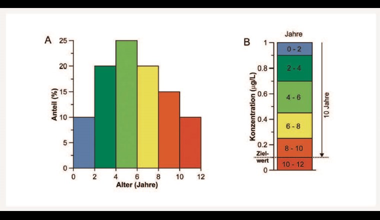 Fig. 10 Fiktives Szenario, das den Einfluss der Altersverteilung auf die Dauer bis zum Erreichen des Zielwerts illustriert. Anteile an Grundwasser verschiedener Altersklassen (A) Beitrag der verschiedenen Altersklassen zur CT-Metaboliten-Konzentration und Zeitdauer bis der Zielwert erreicht ist (B). Während das mittlere Grundwasseralter sechs Jahre beträgt, dauert es im Szenario zehn Jahre bis der Zielwert erreicht ist.