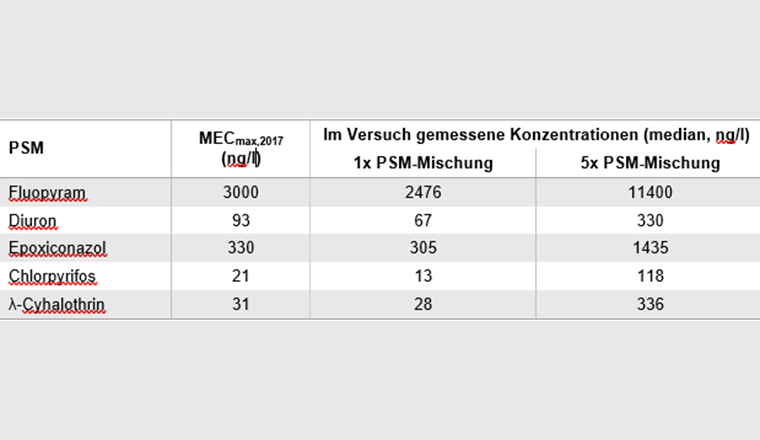 Tab. 1 In der Schweiz gemessene Umweltkonzentrationen (MECmax,2017) und im Versuch gemessene Konzentrationen der Pflanzenschutzmittel (PSM).