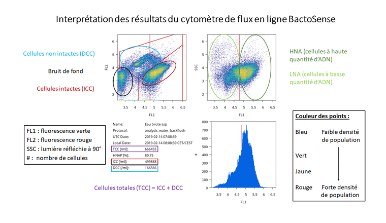 Fig. 4 Interprétation des résultats émis par le cytomètre de flux en ligne BactoSense.