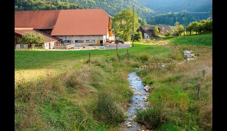 La Motte nel Jura (Bild: F. Bertschinger/Ex-Press/BAFU)