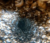 Innenansicht einer stark mit Muscheln befallenen Entnahmeleitung für industrielles Wasser, welche ca. zwei Jahre weder chloriert noch gereinigt
wurde. Tiefe 35 Meter (Foto: ARA Vidy) Innenansicht einer stark mit Muscheln befallenen Entnahmeleitung für industrielles Wasser, welche ca. zwei Jahre weder chloriert noch gereinigt
wurde. Tiefe 35 Meter (Foto: ARA Vidy)