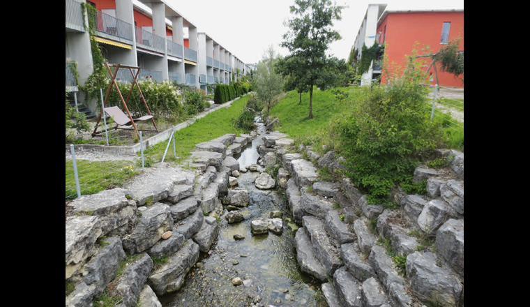 Des ruisseaux quasi naturels remplacent les ruisseaux canalisés et remplissent de nombreuses fonctions en zone urbaine.	(©S. Hasler/VSA)