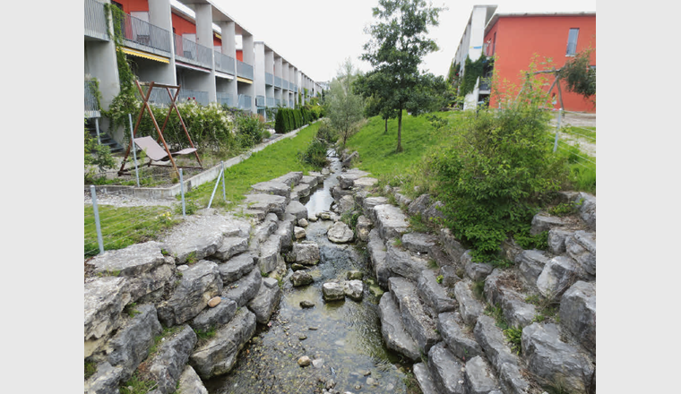 Des ruisseaux quasi naturels remplacent les ruisseaux canalisés et remplissent de nombreuses fonctions en zone urbaine.	(©S. Hasler/VSA)