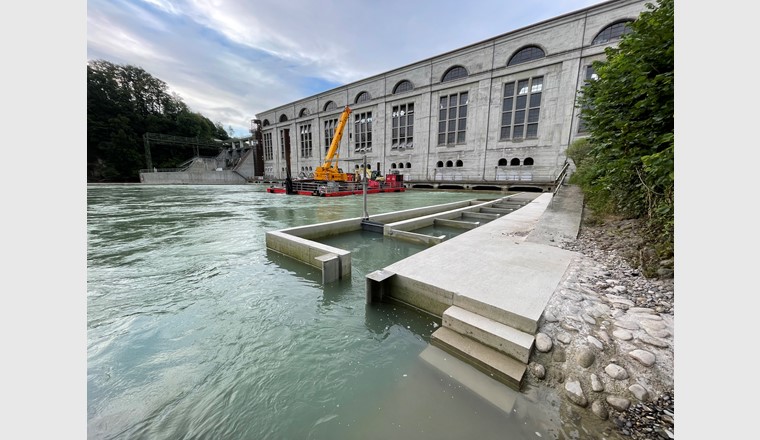 Mit der Inbetriebnahme des Fischlifts Wasserkraftwerk Mühleberg ist die erste von 40 Massnahmen für Fischgängigkeit bei BKW Wasserkraftwerken abgeschlossen. (©BKW)